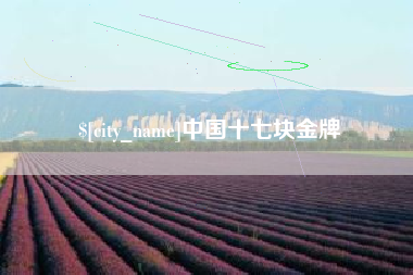 泰安中国十七块金牌