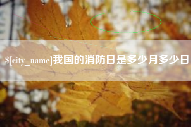 泰安我国的消防日是多少月多少日