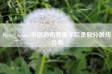 泰安中国消防救援学院录取分数线公布