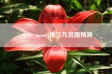 泰安排三九宫图预测