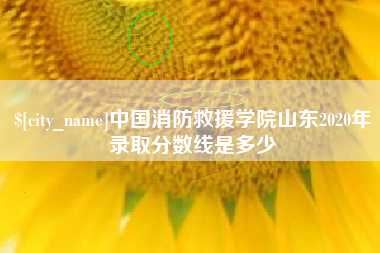 泰安中国消防救援学院山东2020年录取分数线是多少