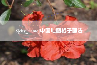 泰安中国地图格子画法