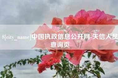 泰安中国执政信息公开网-失信人员查询页