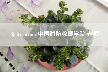 泰安中国消防救援学院 老师