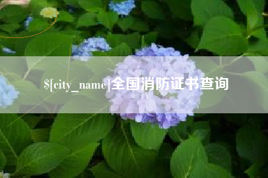 泰安全国消防证书查询