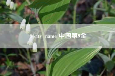 泰安中国第9金