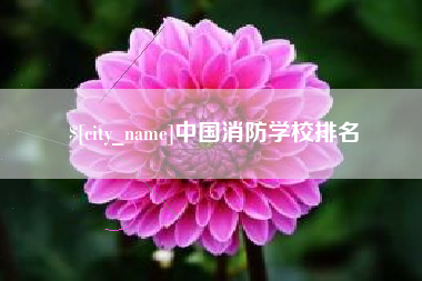 泰安中国消防学校排名