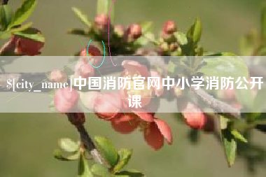 泰安中国消防官网中小学消防公开课