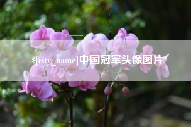 泰安中国冠军头像图片