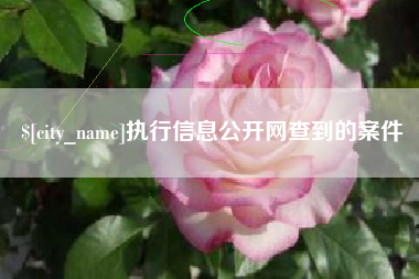 泰安执行信息公开网查到的案件