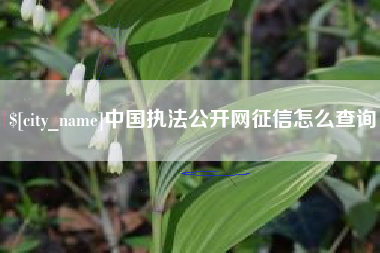 泰安中国执法公开网征信怎么查询