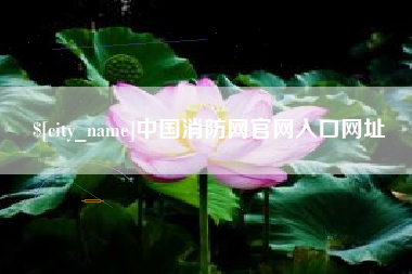 泰安中国消防网官网入口网址