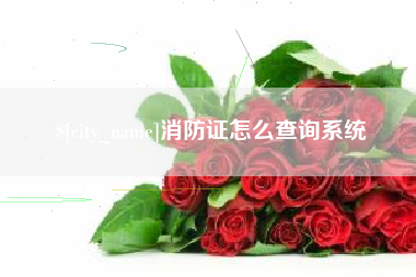 泰安消防证怎么查询系统