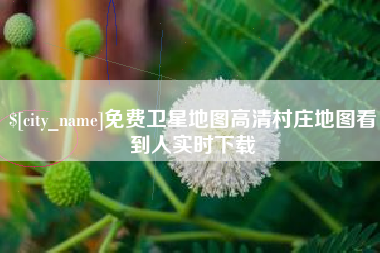 泰安免费卫星地图高清村庄地图看到人实时下载