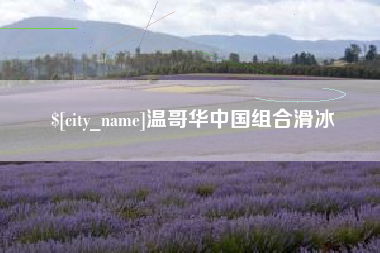 泰安温哥华中国组合滑冰
