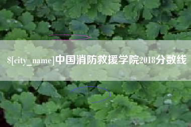 泰安中国消防救援学院2018分数线