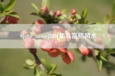 泰安2021年九宫格风水