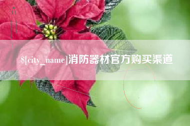 泰安消防器材官方购买渠道