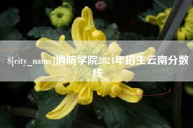 泰安消防学院2024年招生云南分数线