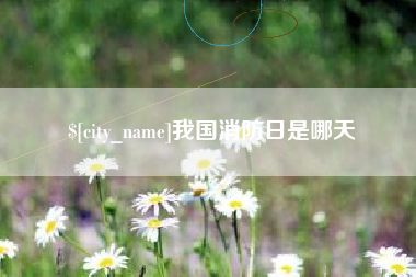 泰安我国消防日是哪天