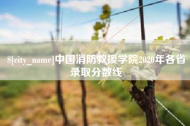 泰安中国消防救援学院2020年各省录取分数线