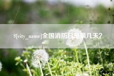 泰安全国消防日是第几天？