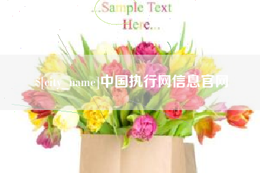 泰安中国执行网信息官网