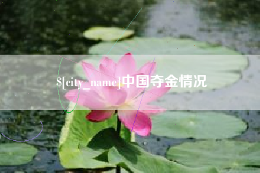 泰安中国夺金情况