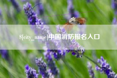 泰安中国消防报名入口