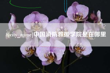 泰安中国消防救援学院是在哪里