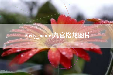 泰安九宫格龙图片