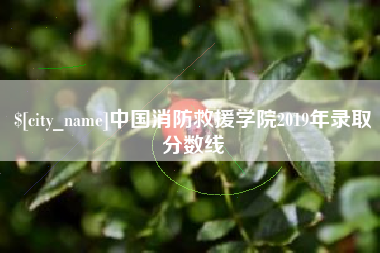泰安中国消防救援学院2019年录取分数线