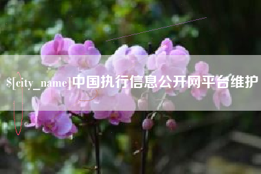 泰安中国执行信息公开网平台维护