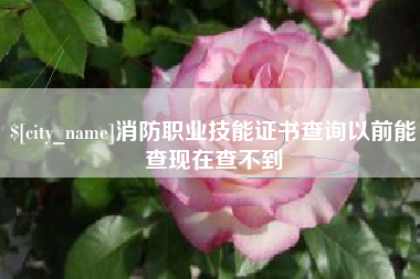 泰安消防职业技能证书查询以前能查现在查不到