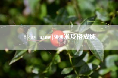 泰安5000米及格成绩