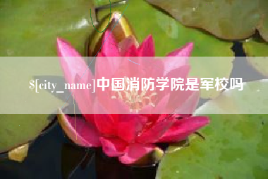 泰安中国消防学院是军校吗