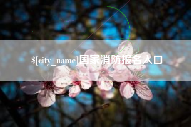 泰安国家消防报名入口