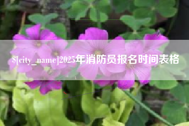泰安2025年消防员报名时间表格