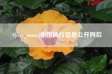 泰安中国执行信息公开网后