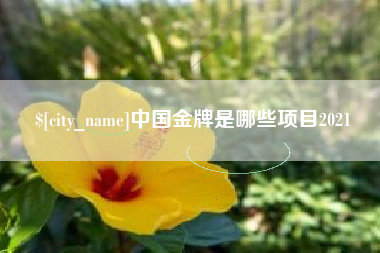 泰安中国金牌是哪些项目2021