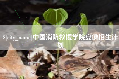 泰安中国消防救援学院安徽招生计划