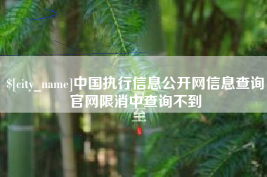 泰安中国执行信息公开网信息查询官网限消中查询不到