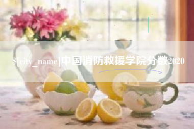 泰安中国消防救援学院分数2020