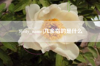 泰安九金指的是什么