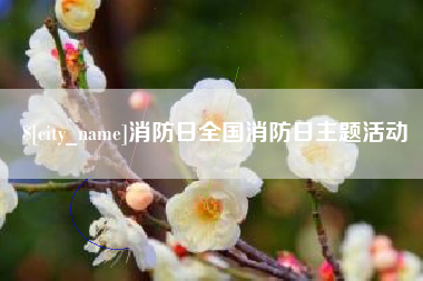 泰安消防日全国消防日主题活动