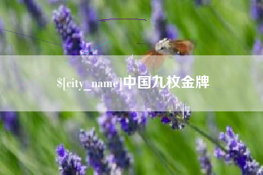 泰安中国九枚金牌