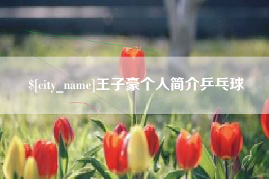 泰安王子豪个人简介乒乓球