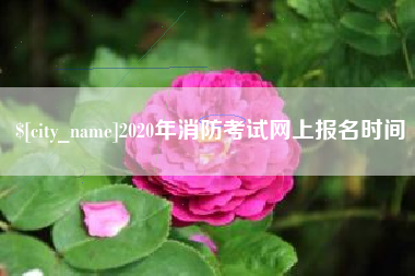 泰安2020年消防考试网上报名时间