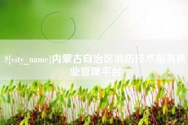 泰安内蒙古自治区消防技术服务执业管理平台