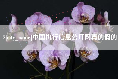 泰安中国执行信息公开网真的假的